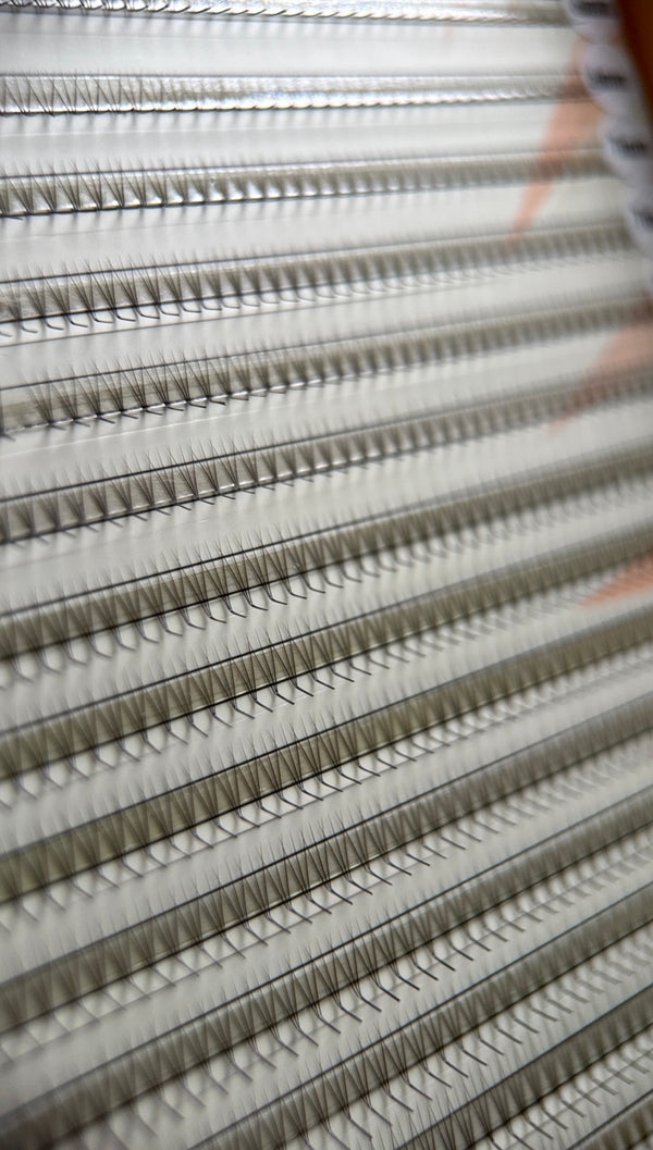 Gatavie pušķi skropstu pieaudzēšanai