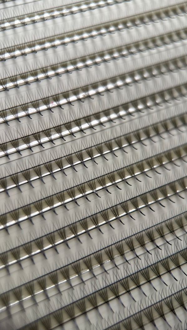 Gatavie pušķi skropstu pieaudzēšanai