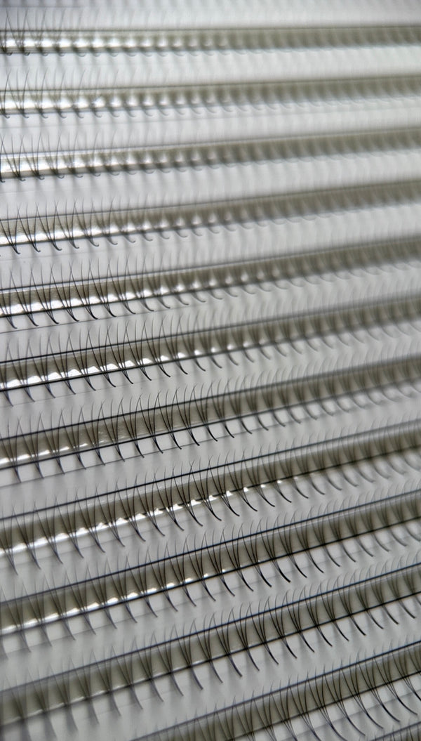 Gatavie pušķi skropstu pieaudzēšanai