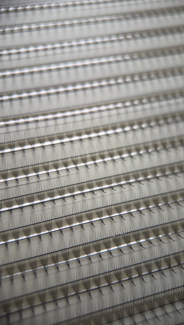 Gatavie pušķi skropstu pieaudzēšanai