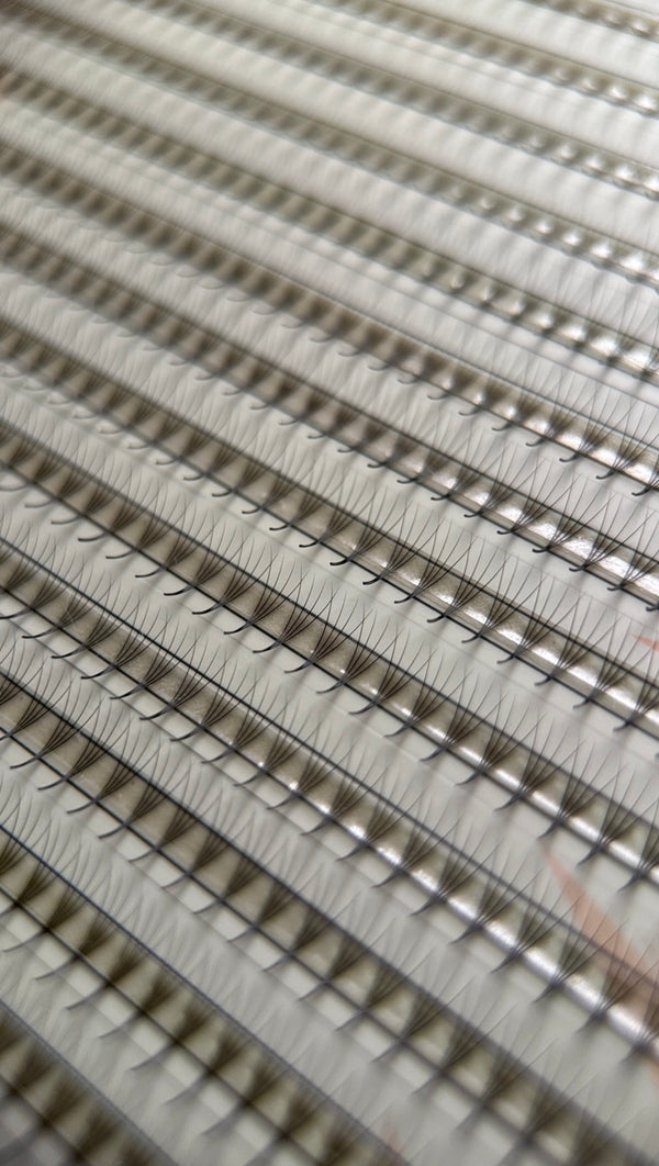 Gatavie pušķi skropstu pieaudzēšanai