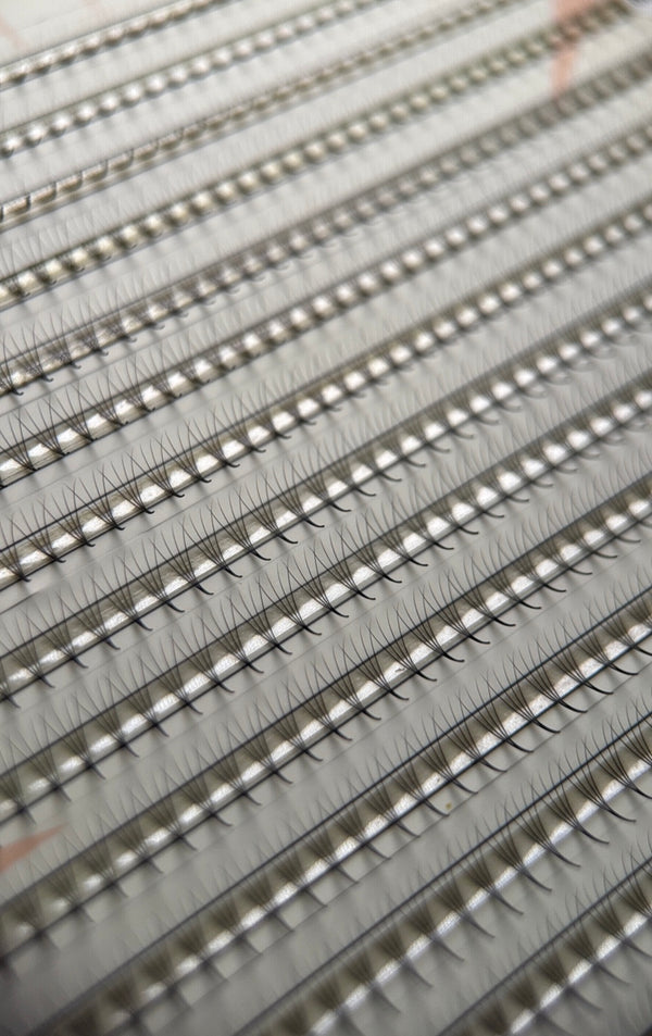 Gatavie pušķi skropstu pieaudzēšanai