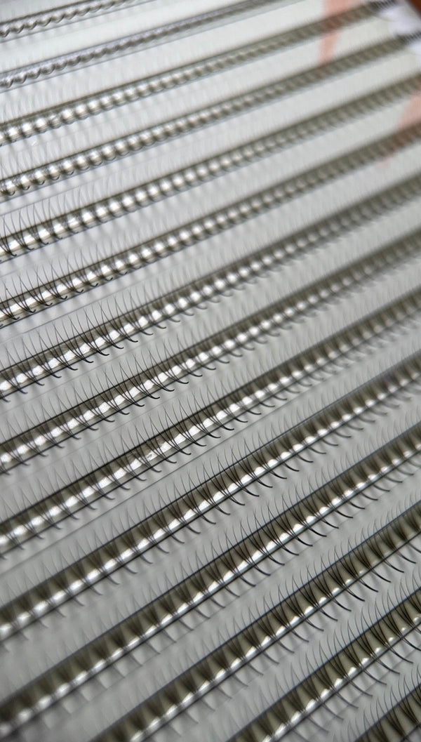 Gatavie pušķi skropstu pieaudzēšanai