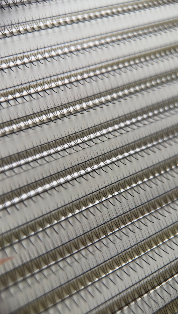 Gatavie pušķi skropstu pieaudzēšanai