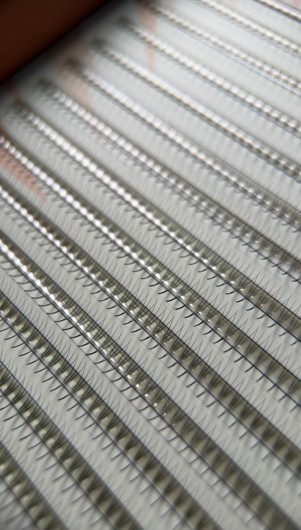 Gatavie pušķi skropstu pieaudzēšanai