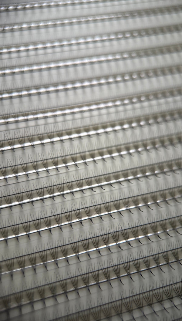 Gatavie pušķi skropstu pieaudzēšanai